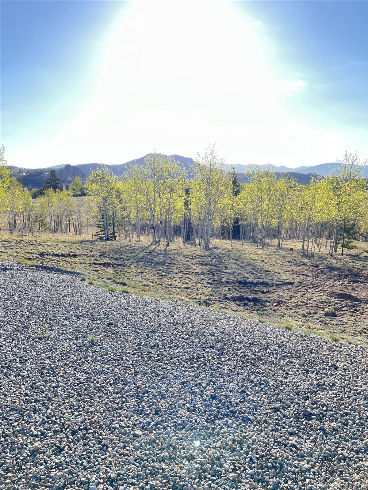 12 Loon Lane Property Photo 13