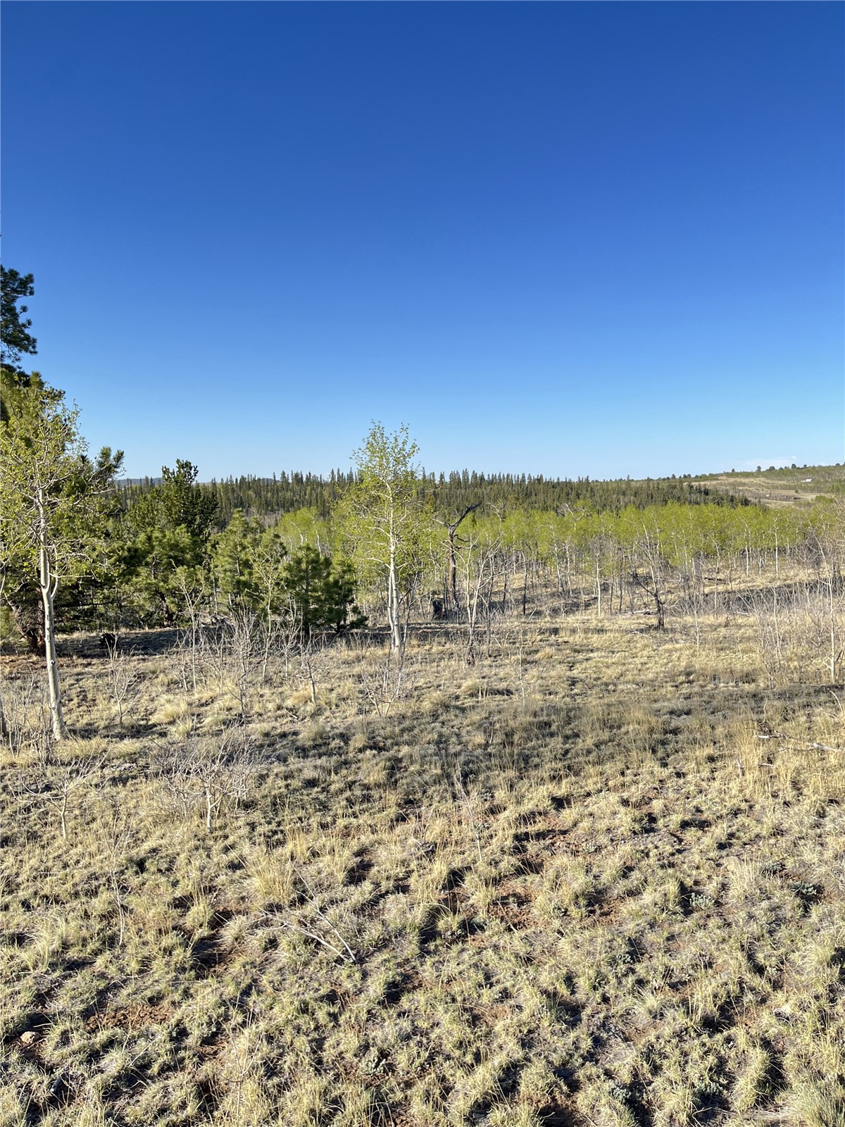 12 Loon Lane Property Photo 16