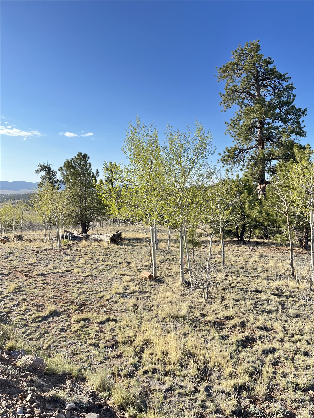12 Loon Lane Property Photo 17