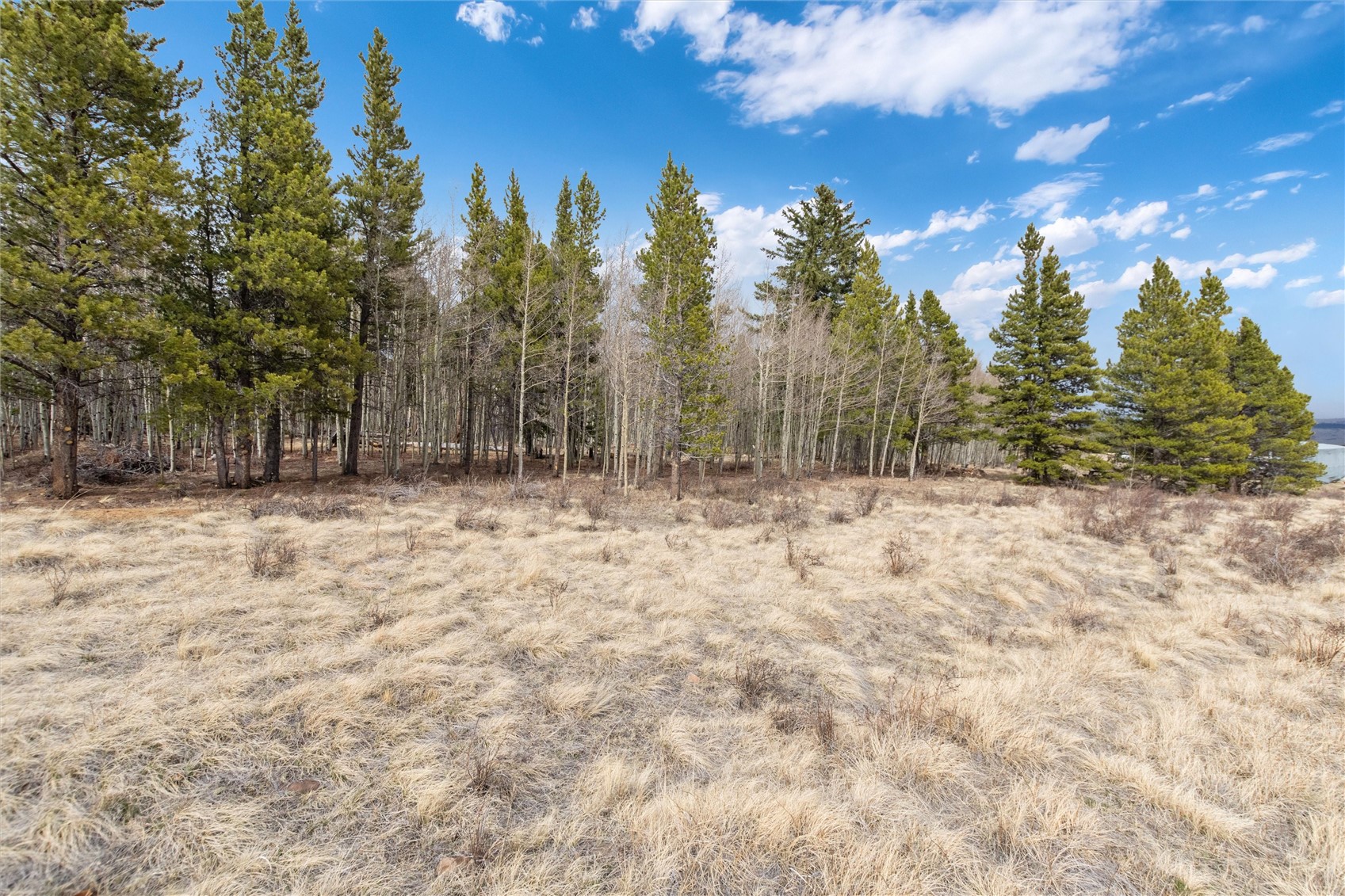 0 Bluestem Property Photo 3
