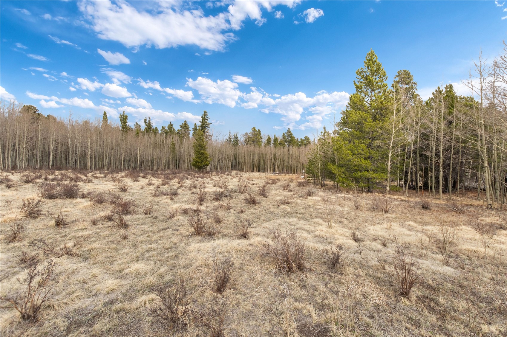 0 Bluestem Property Photo 4