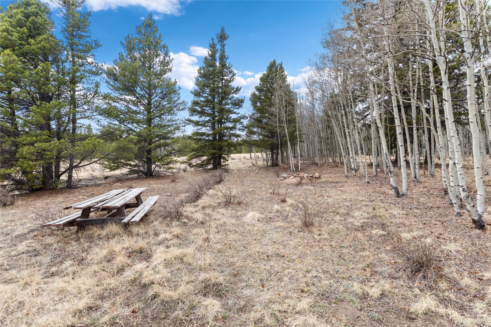 0 Bluestem Property Photo 5