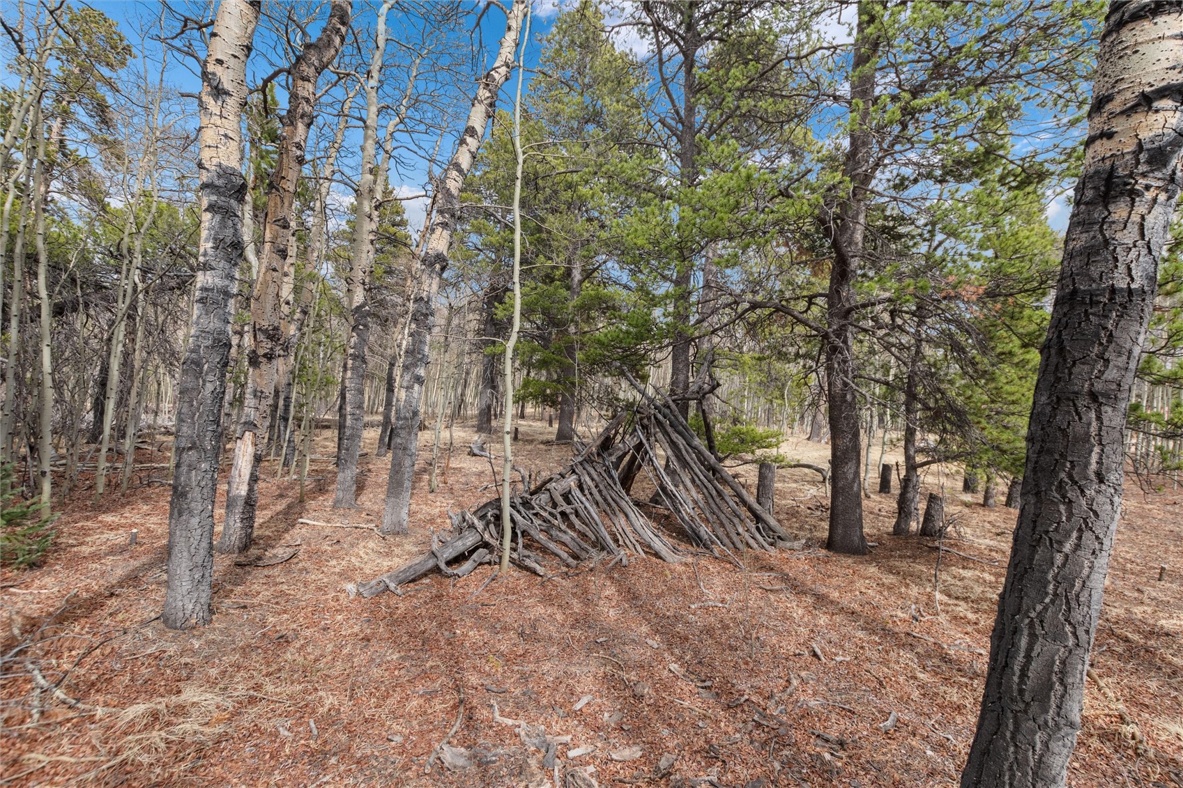 0 Bluestem Property Photo 6