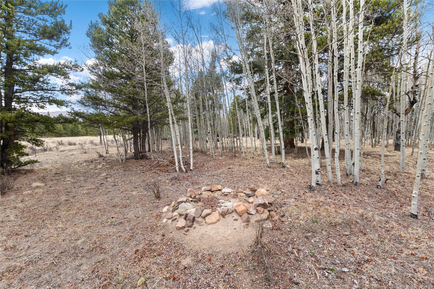 0 Bluestem Property Photo 7