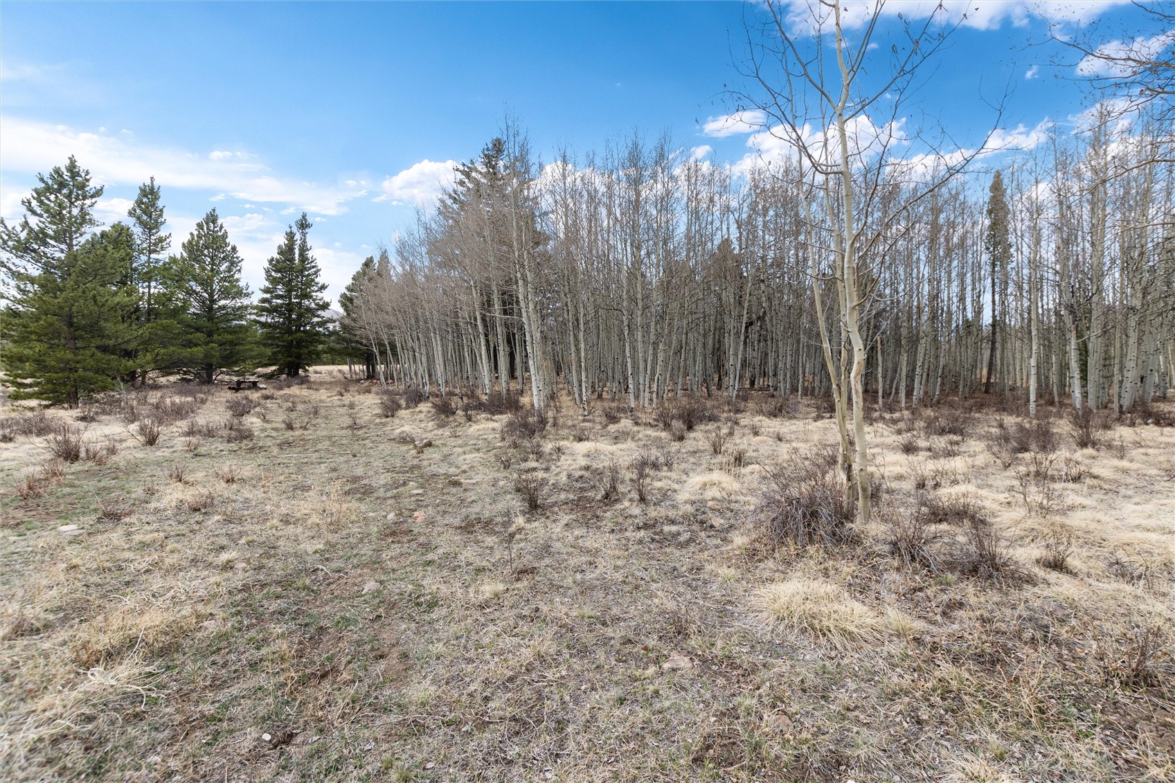 0 Bluestem Property Photo 8