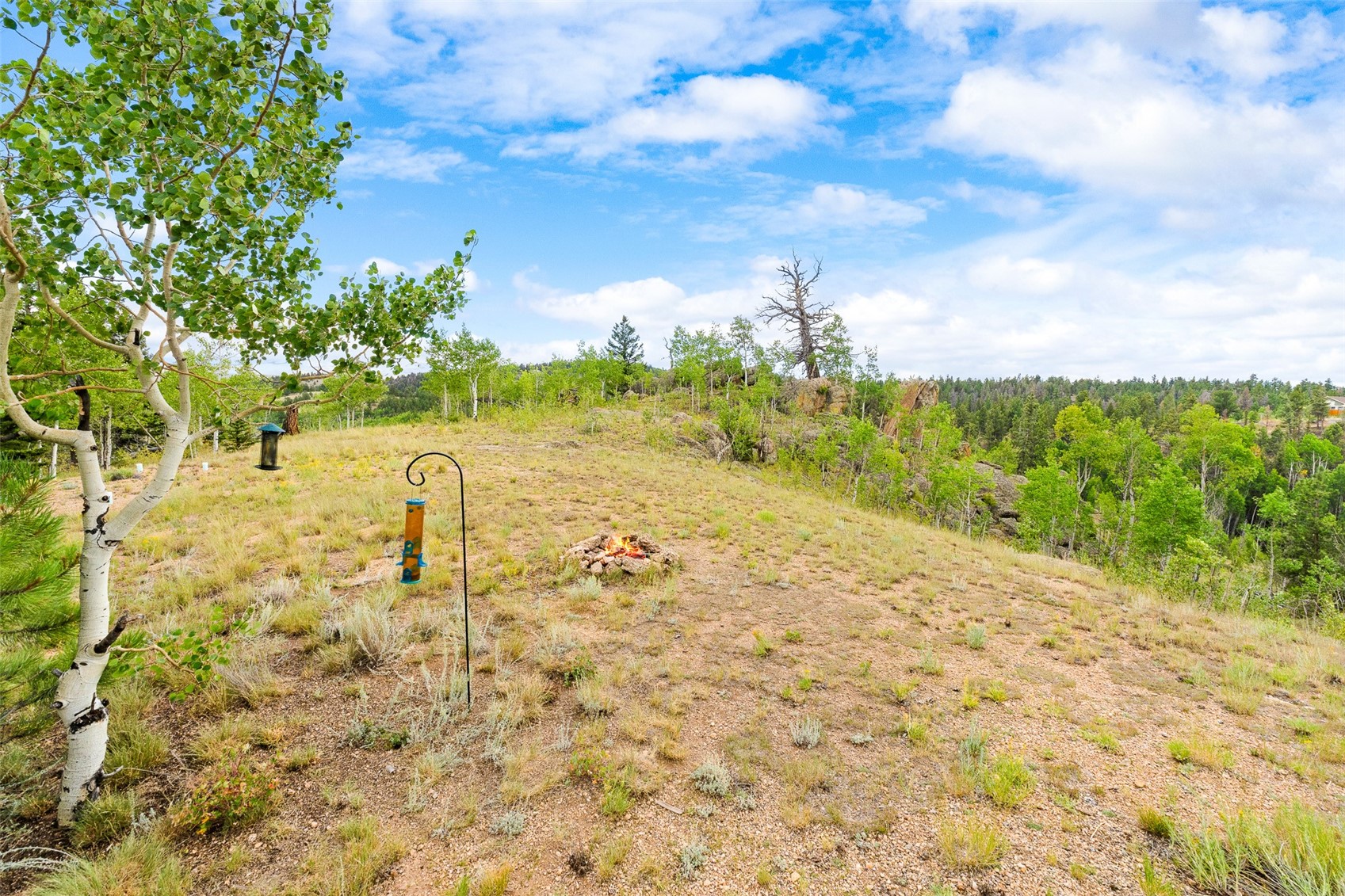 65 Riata Run Property Photo 13