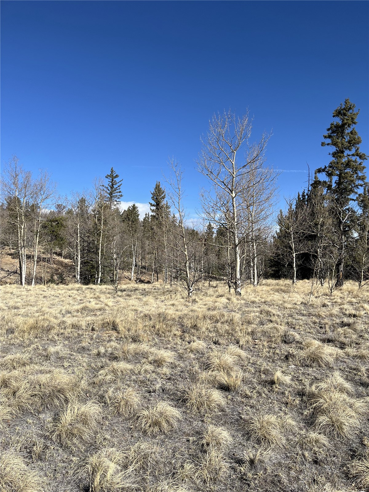 325 Shoshone Drive Property Photo 2
