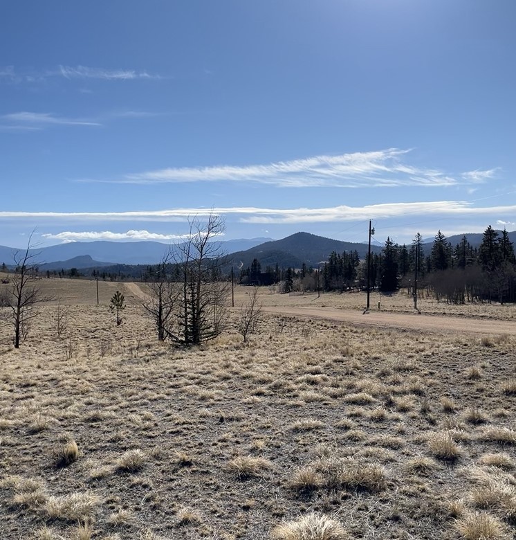 325 Shoshone Drive Property Photo 3