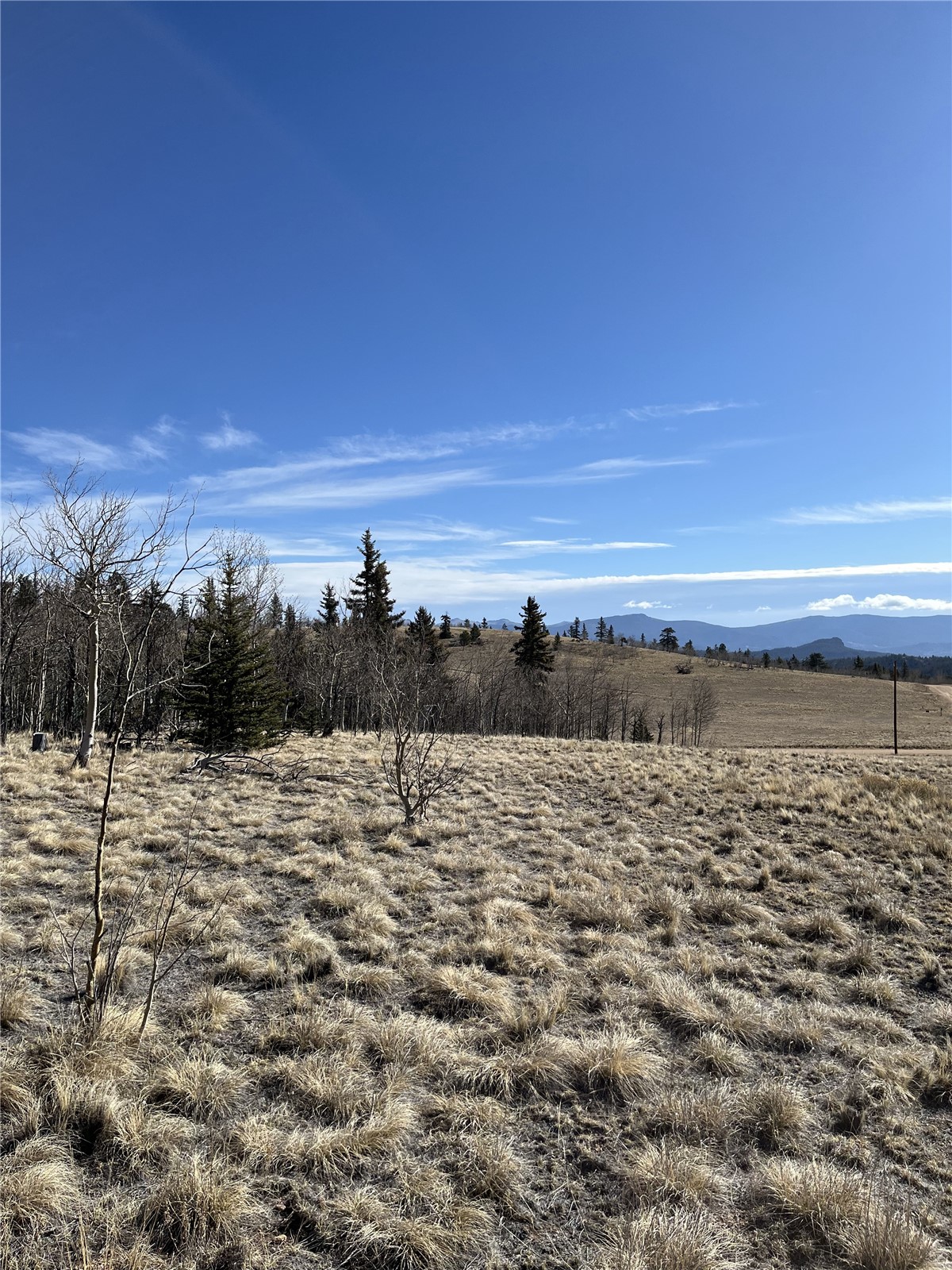 325 Shoshone Drive Property Photo 4