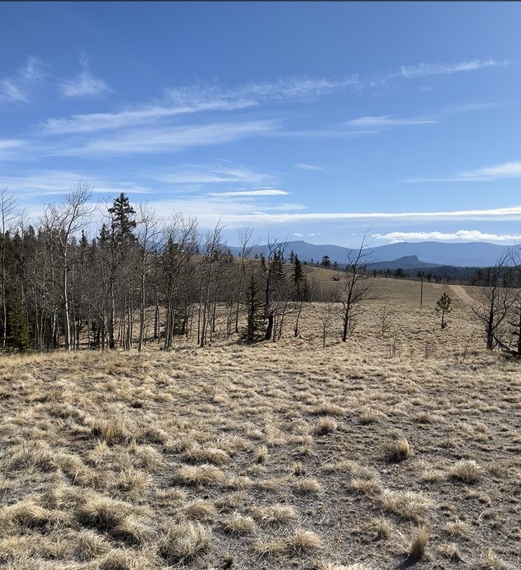 325 Shoshone Drive Property Photo 6
