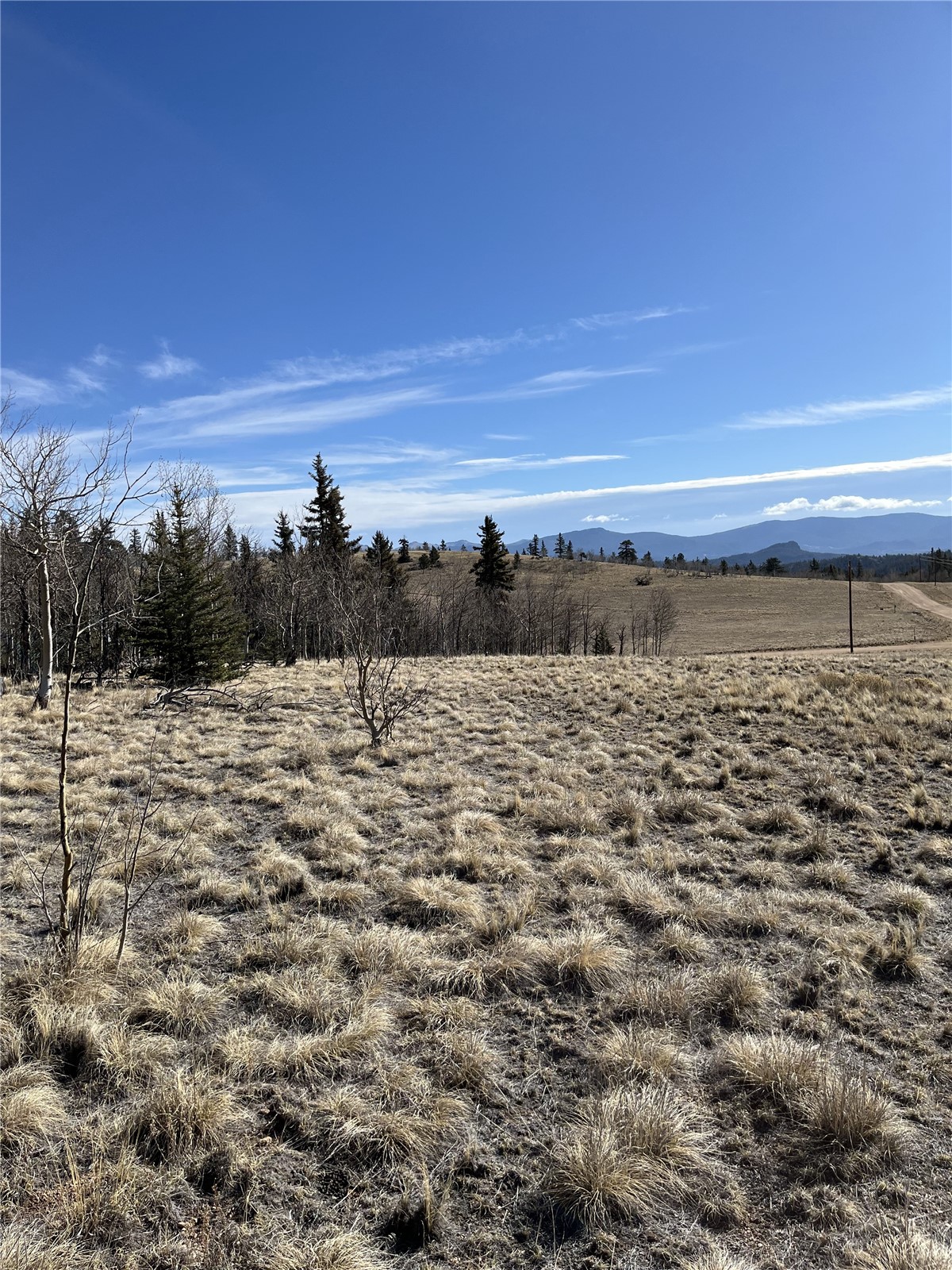 325 Shoshone Drive Property Photo 15