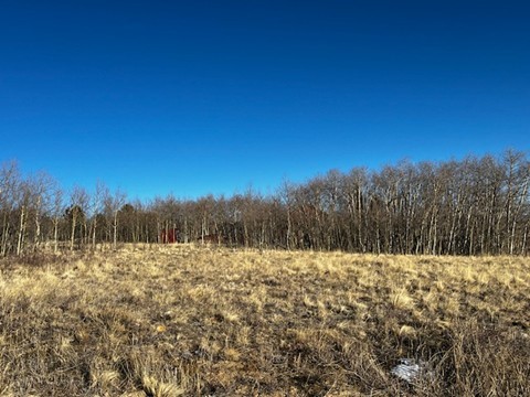 3538 High Creek Road Property Photo 24