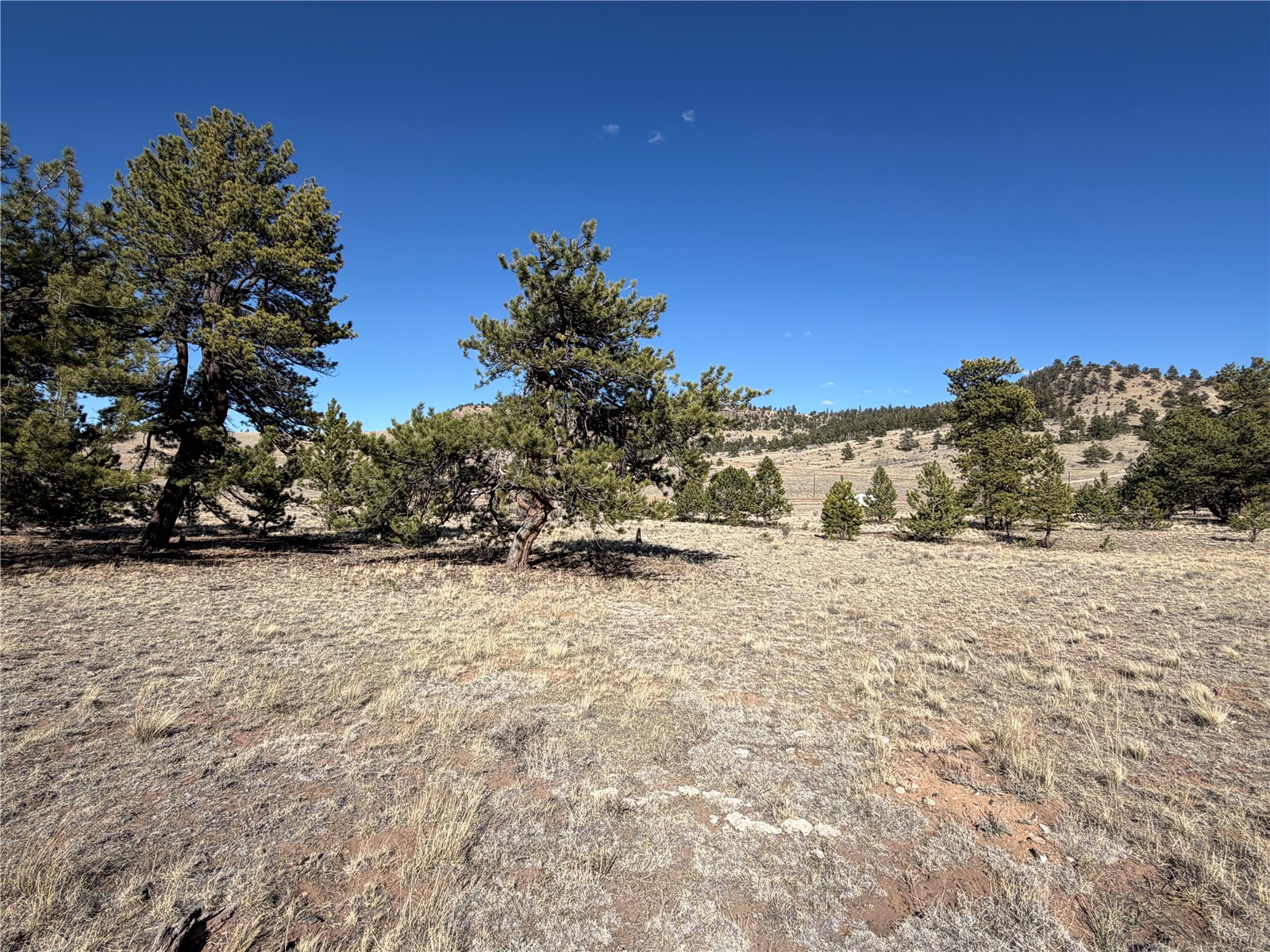 616 Guipago Trail Property Photo 3