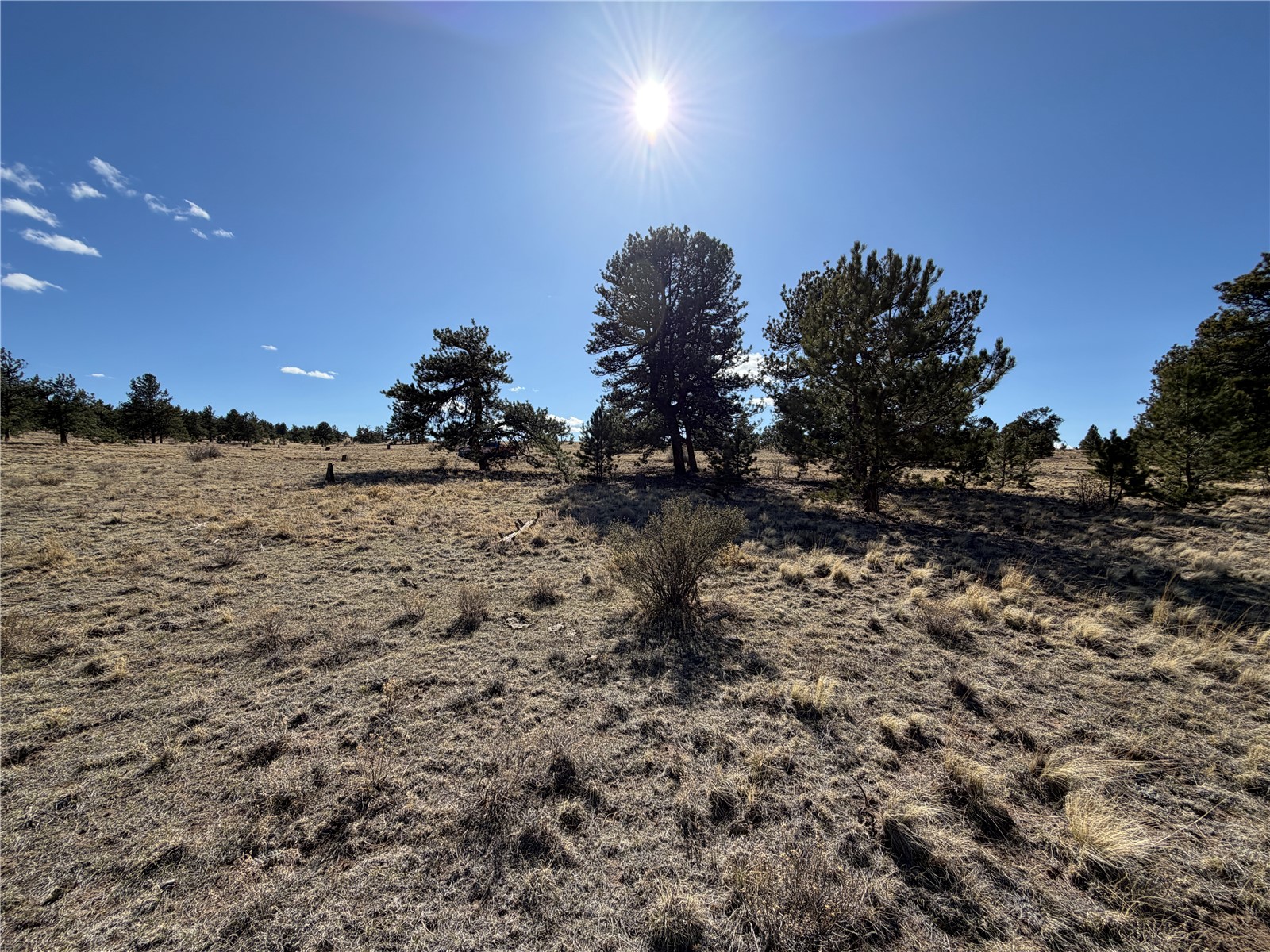 616 Guipago Trail Property Photo 15