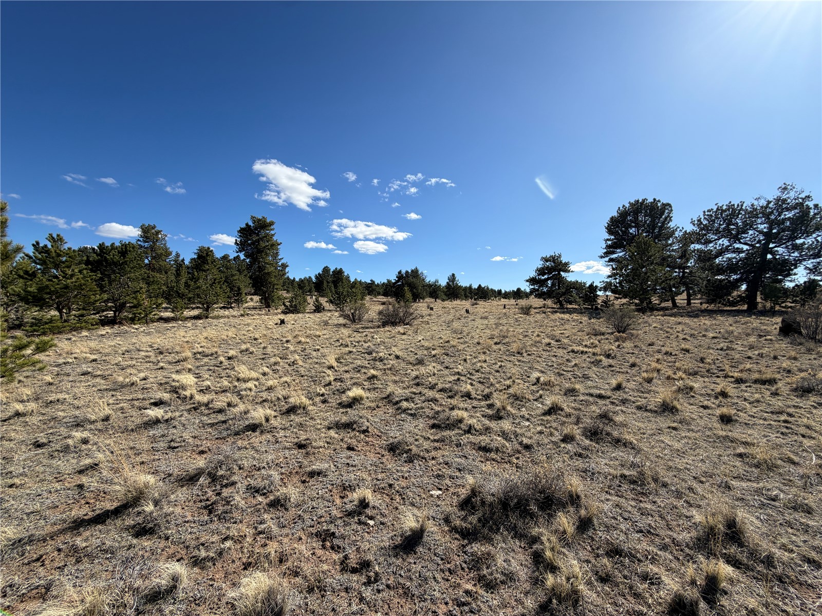 616 Guipago Trail Property Photo 20