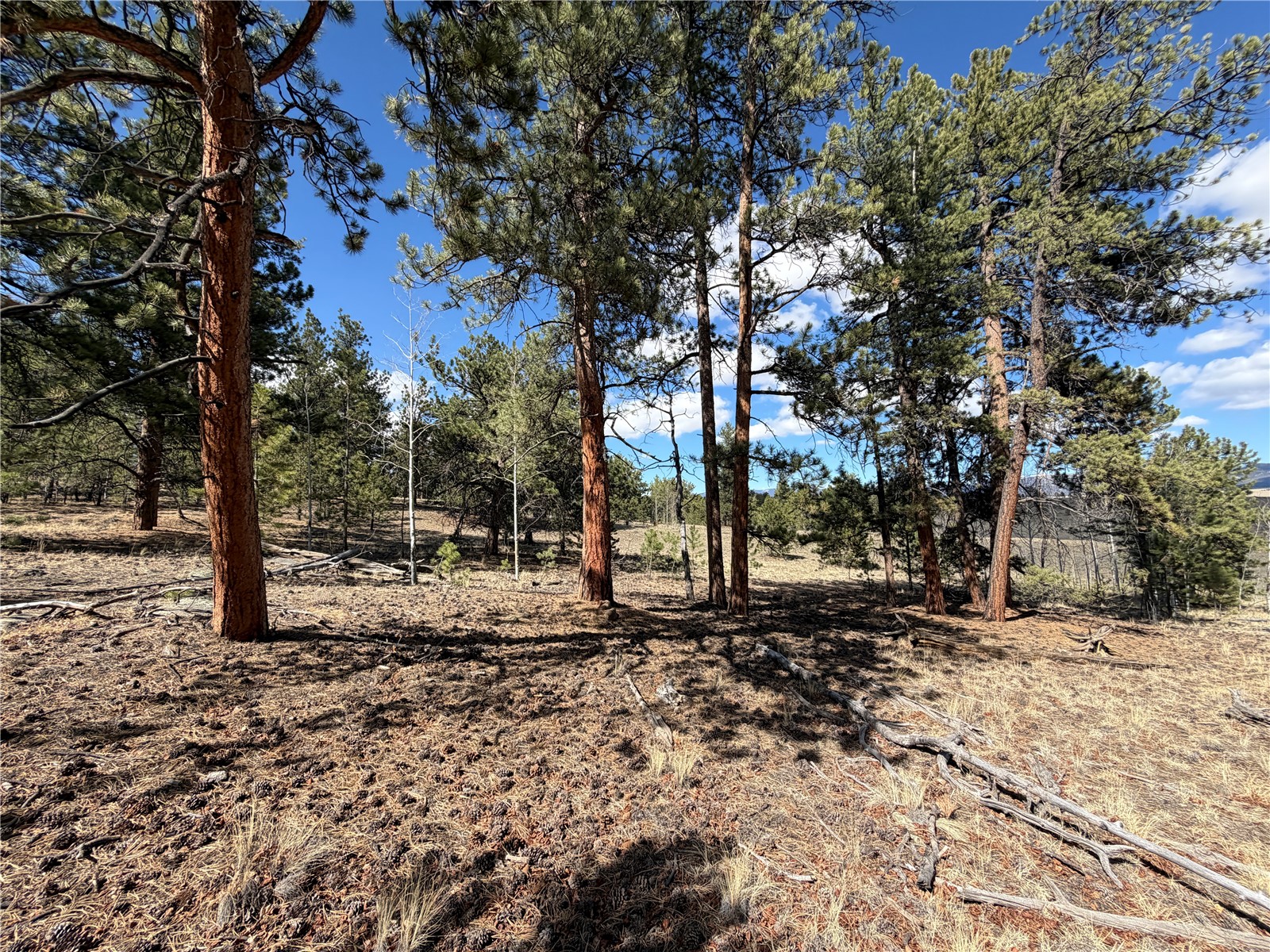 239 Shenandoah PATH Property Photo 1