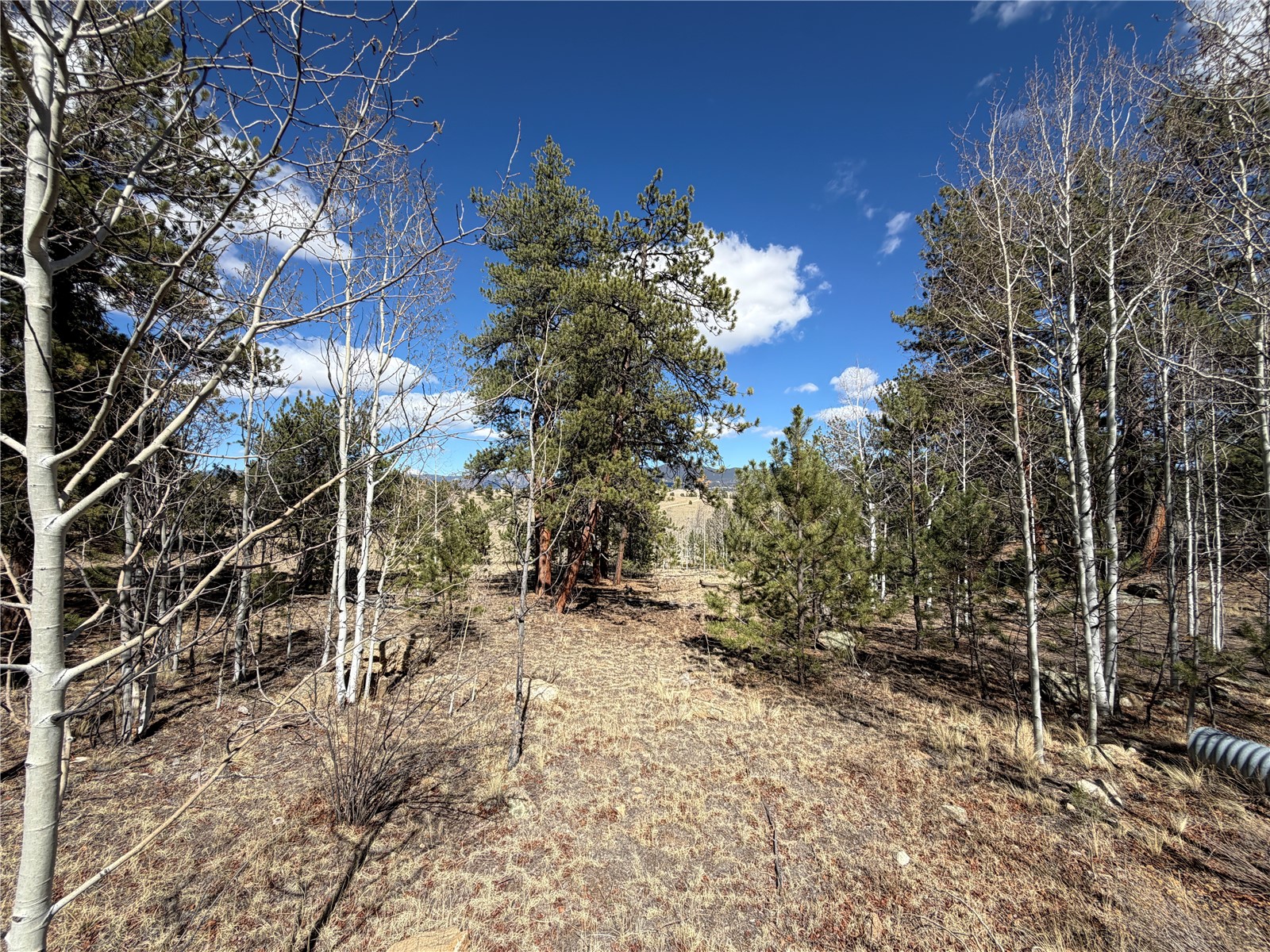239 Shenandoah Path Property Photo 2