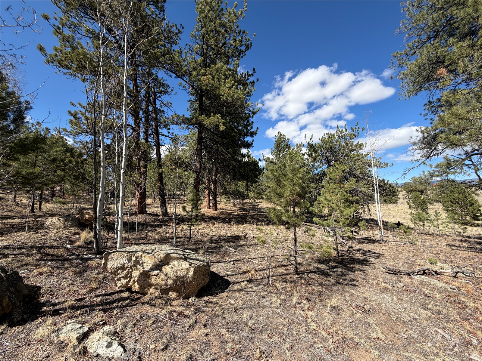 239 Shenandoah Path Property Photo 3