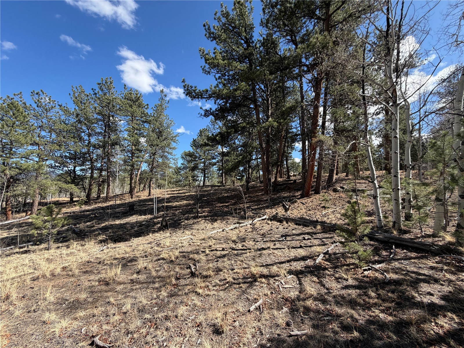 239 Shenandoah Path Property Photo 6