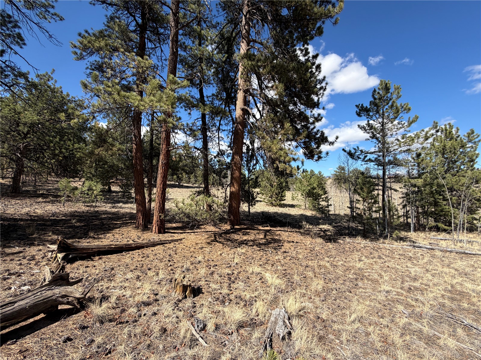 239 Shenandoah Path Property Photo 8