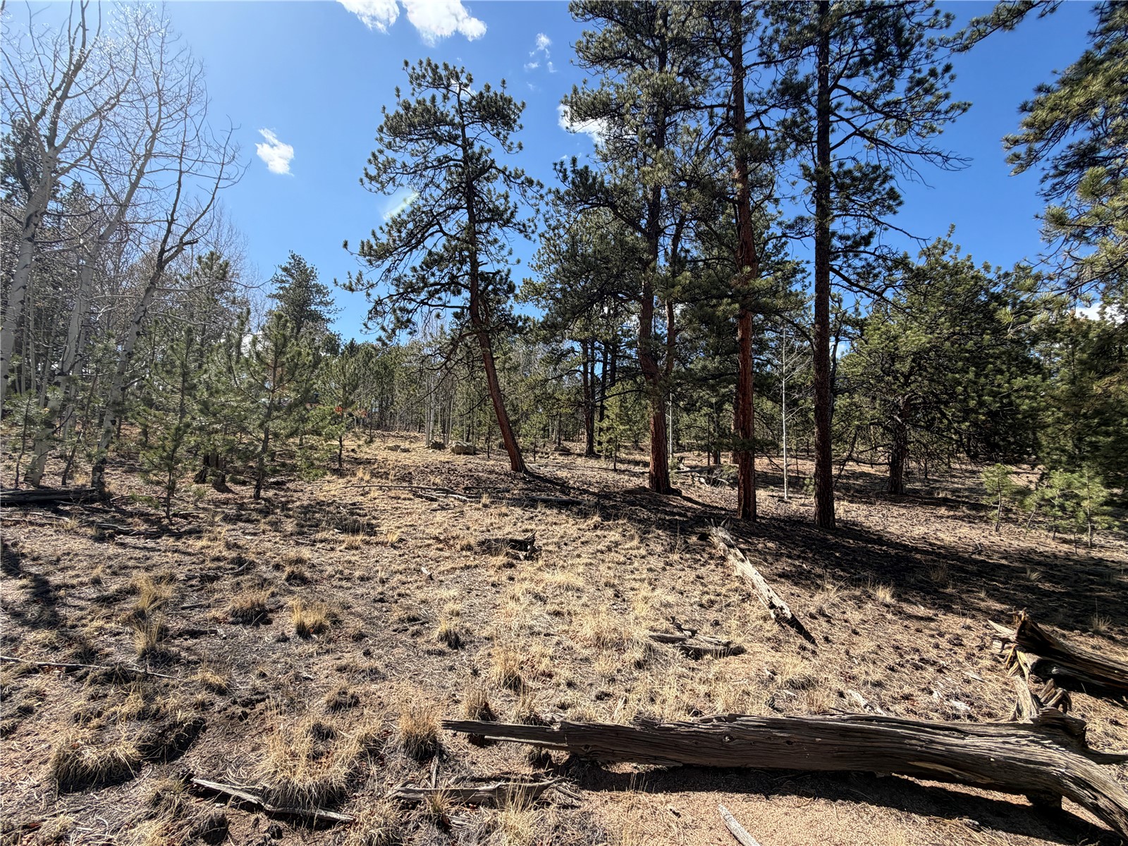 239 Shenandoah Path Property Photo 9