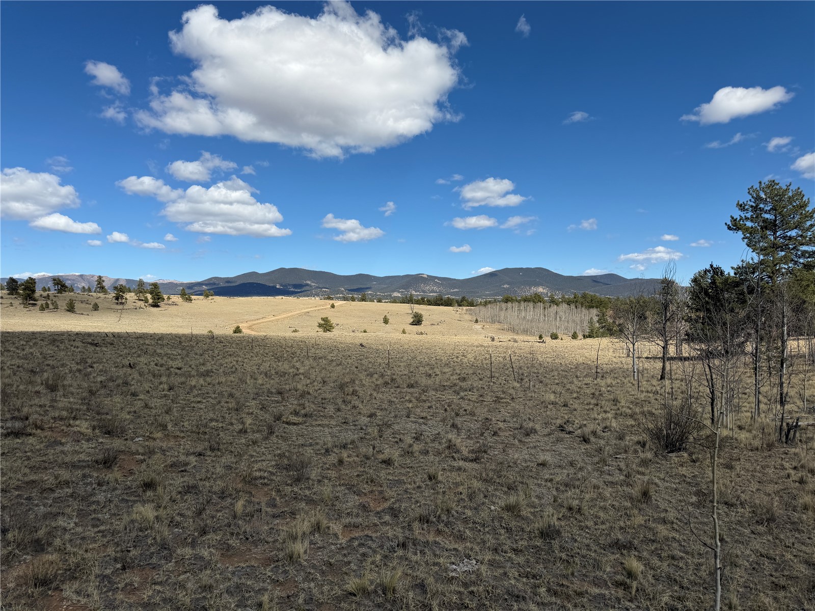 239 Shenandoah Path Property Photo 11