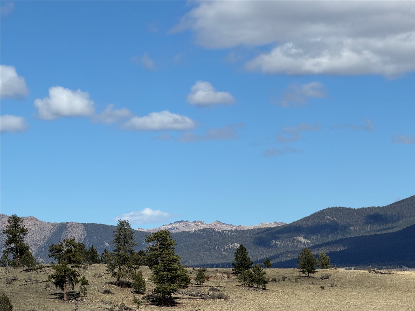 239 Shenandoah Path Property Photo 14