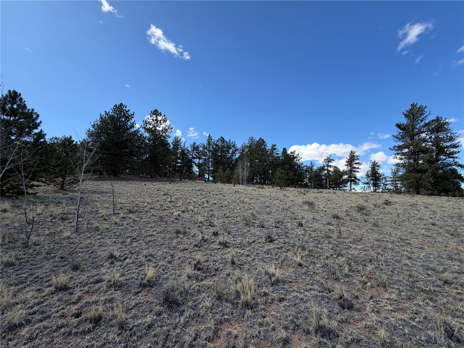 239 Shenandoah Path Property Photo 15