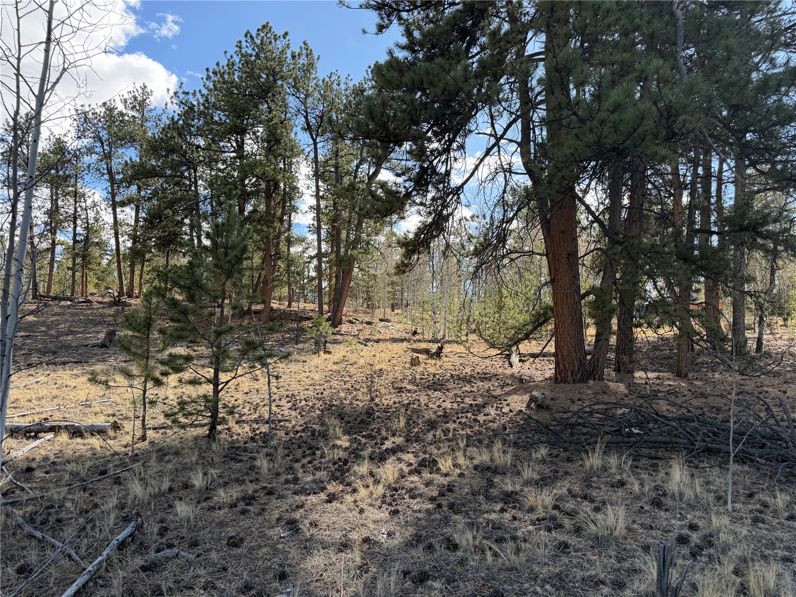 239 Shenandoah Path Property Photo 16