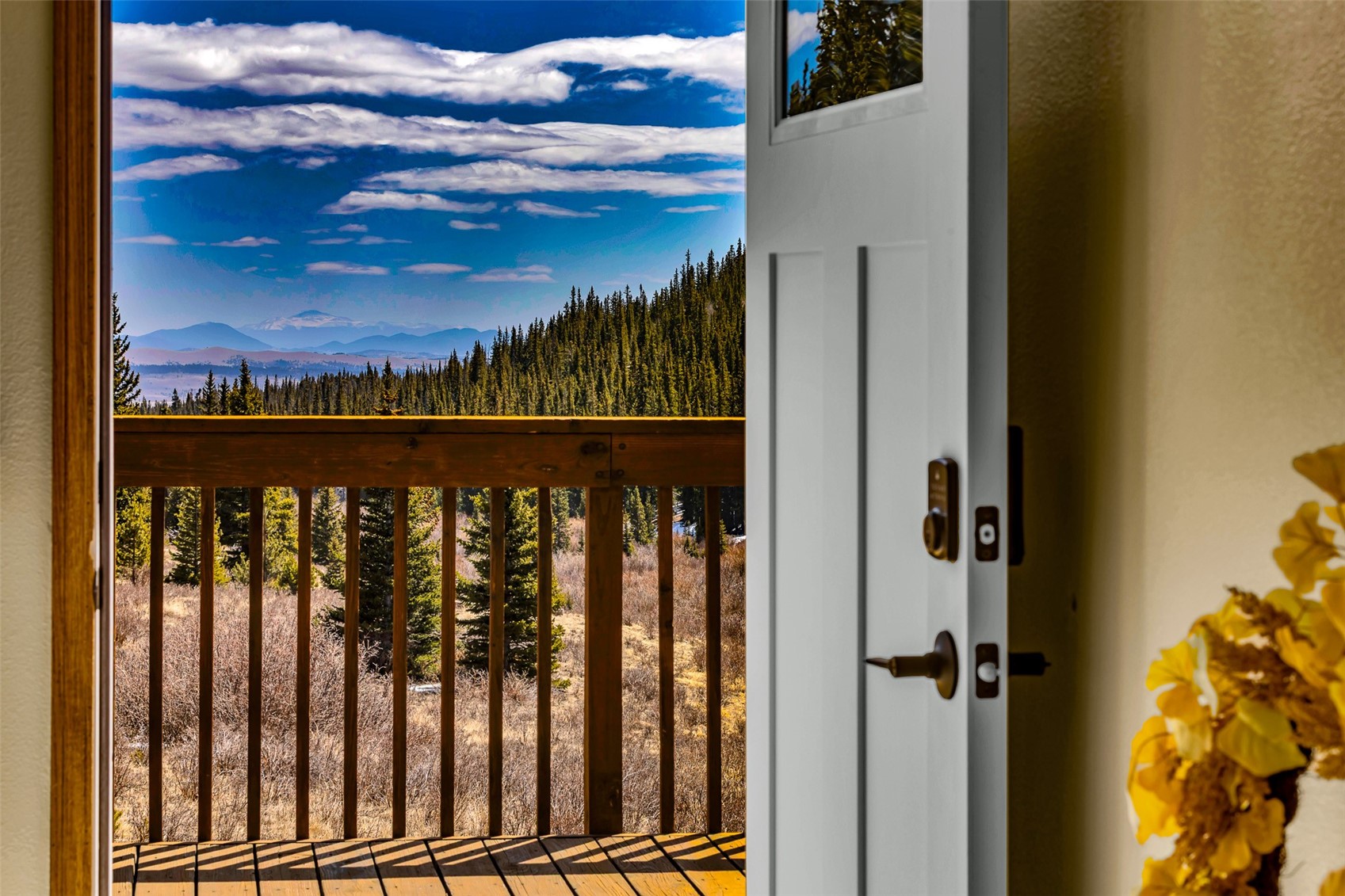 162 S Silk Sisters Place Property Photo 3