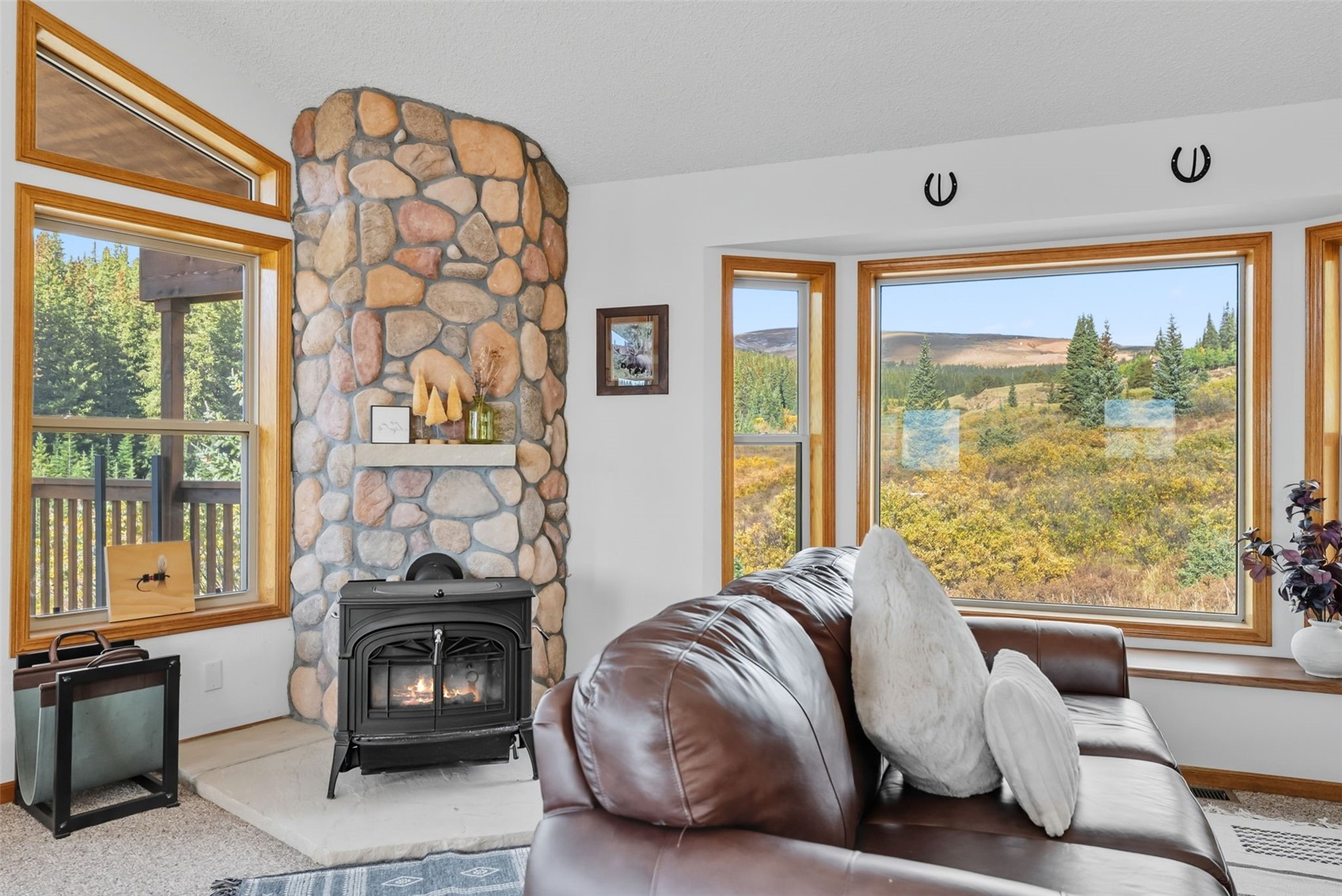 162 S Silk Sisters Place Property Photo 11
