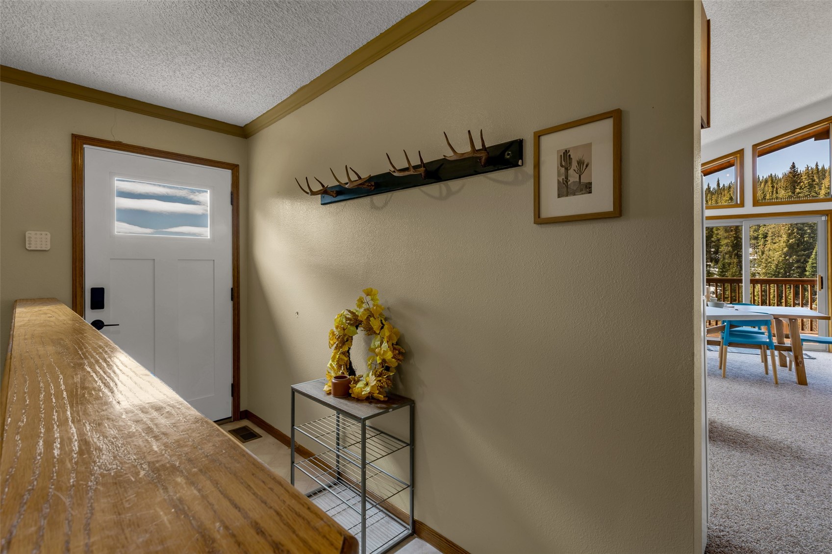 162 S Silk Sisters Place Property Photo 36
