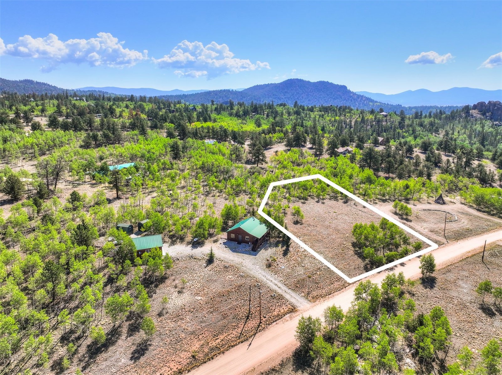 1319 Kiowa Street Property Photo 6