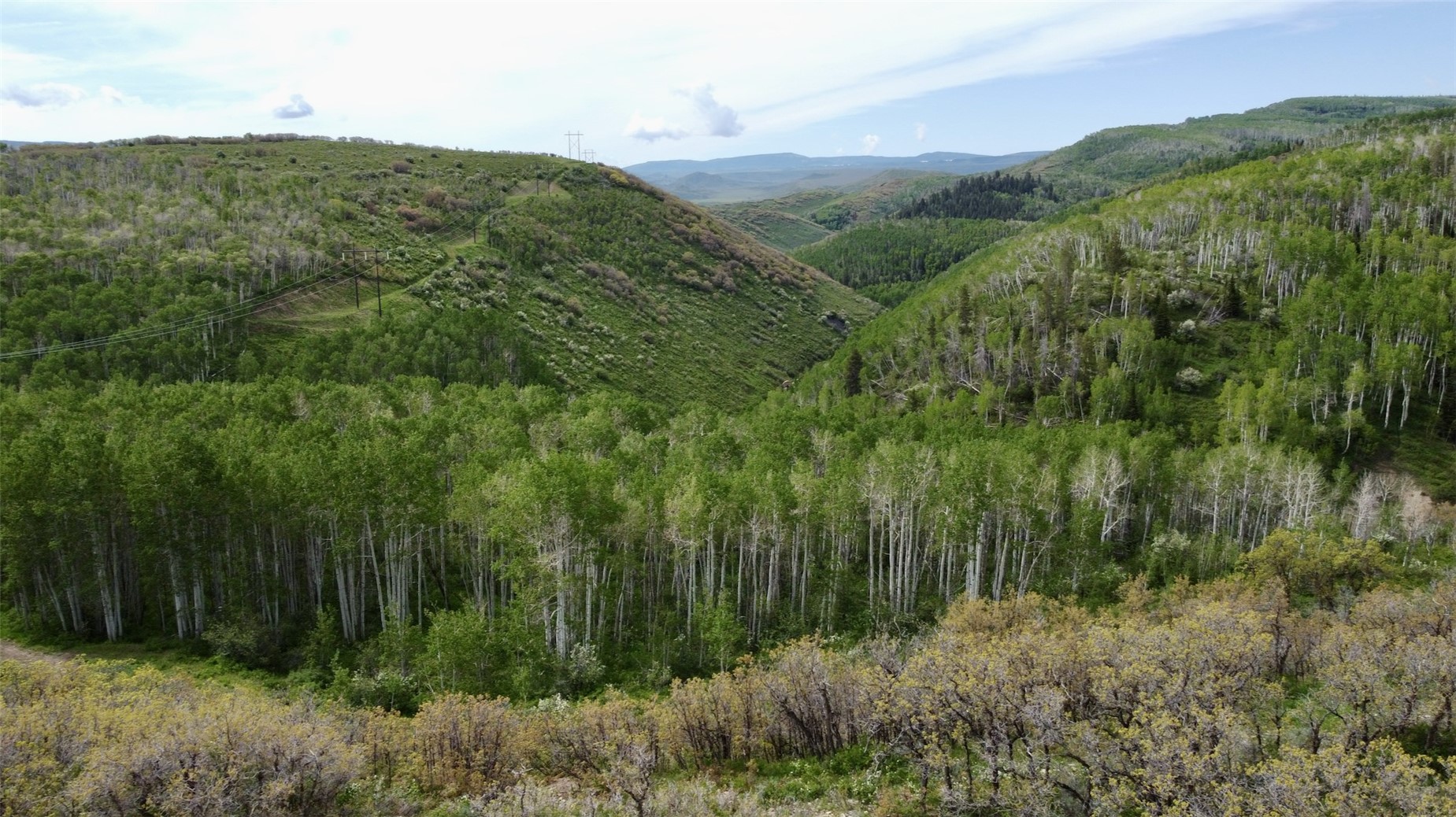 24425 Lone Tooth Trail Property Photo