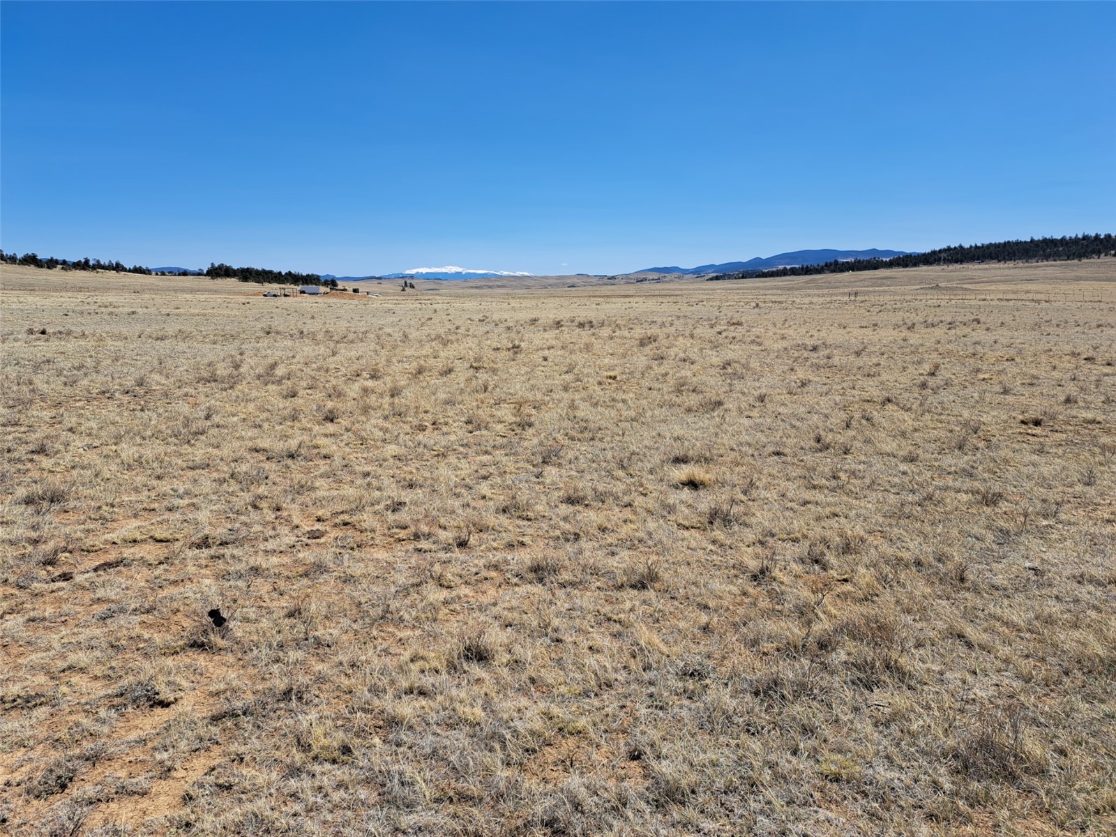 00 Chickasaw Road Property Photo 1