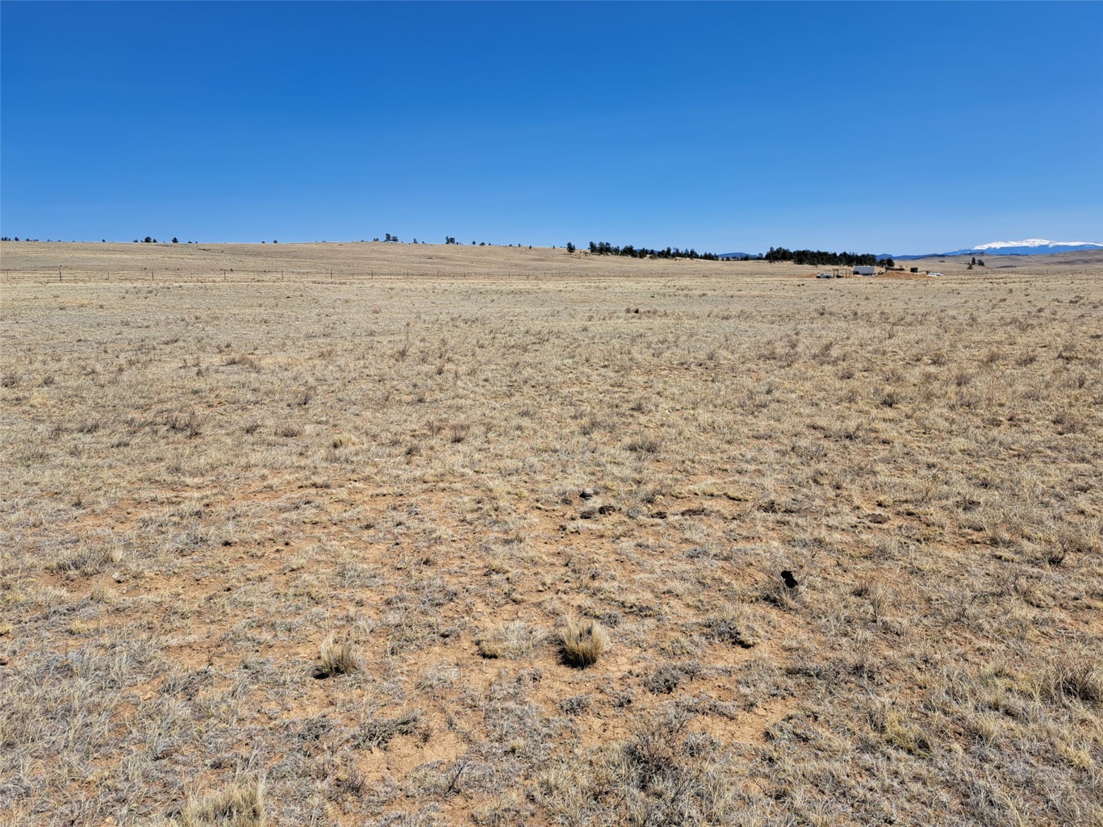 00 Chickasaw Road Property Photo 11