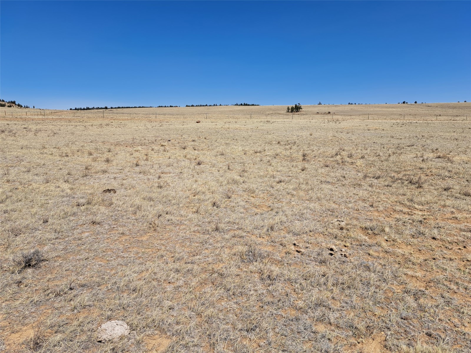 00 Chickasaw Road Property Photo 13