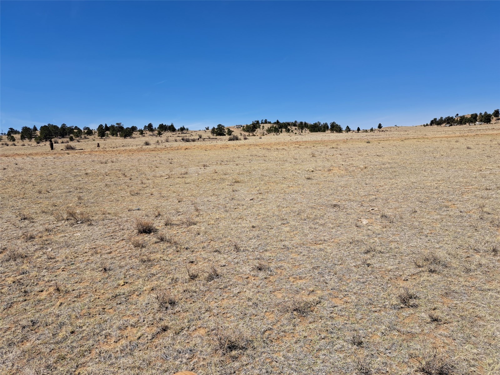 00 Chickasaw Road Property Photo 18