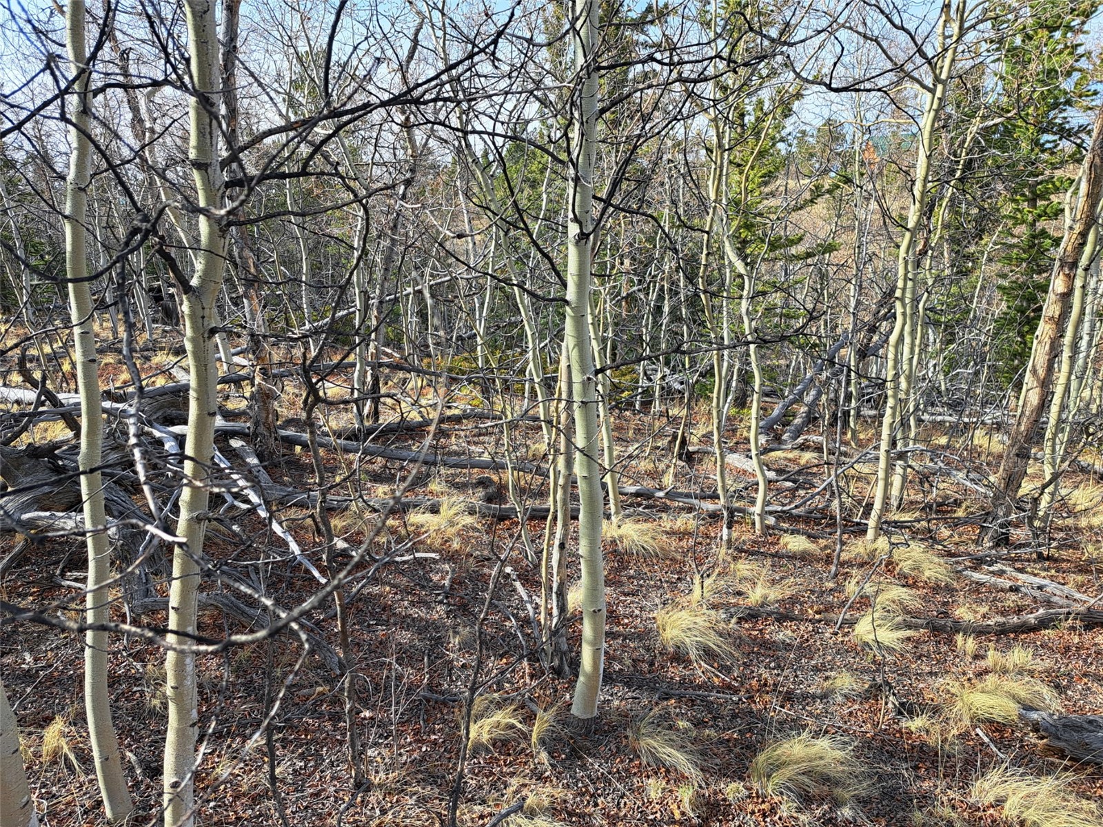 93 Wyandot Way Property Photo