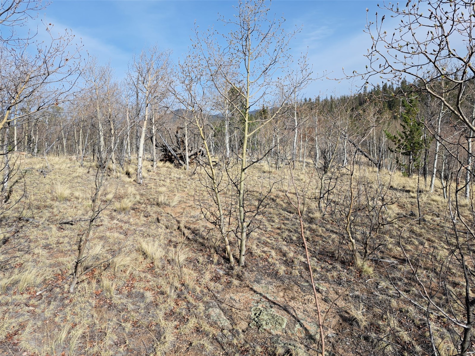 93 Wyandot Way Property Photo 17