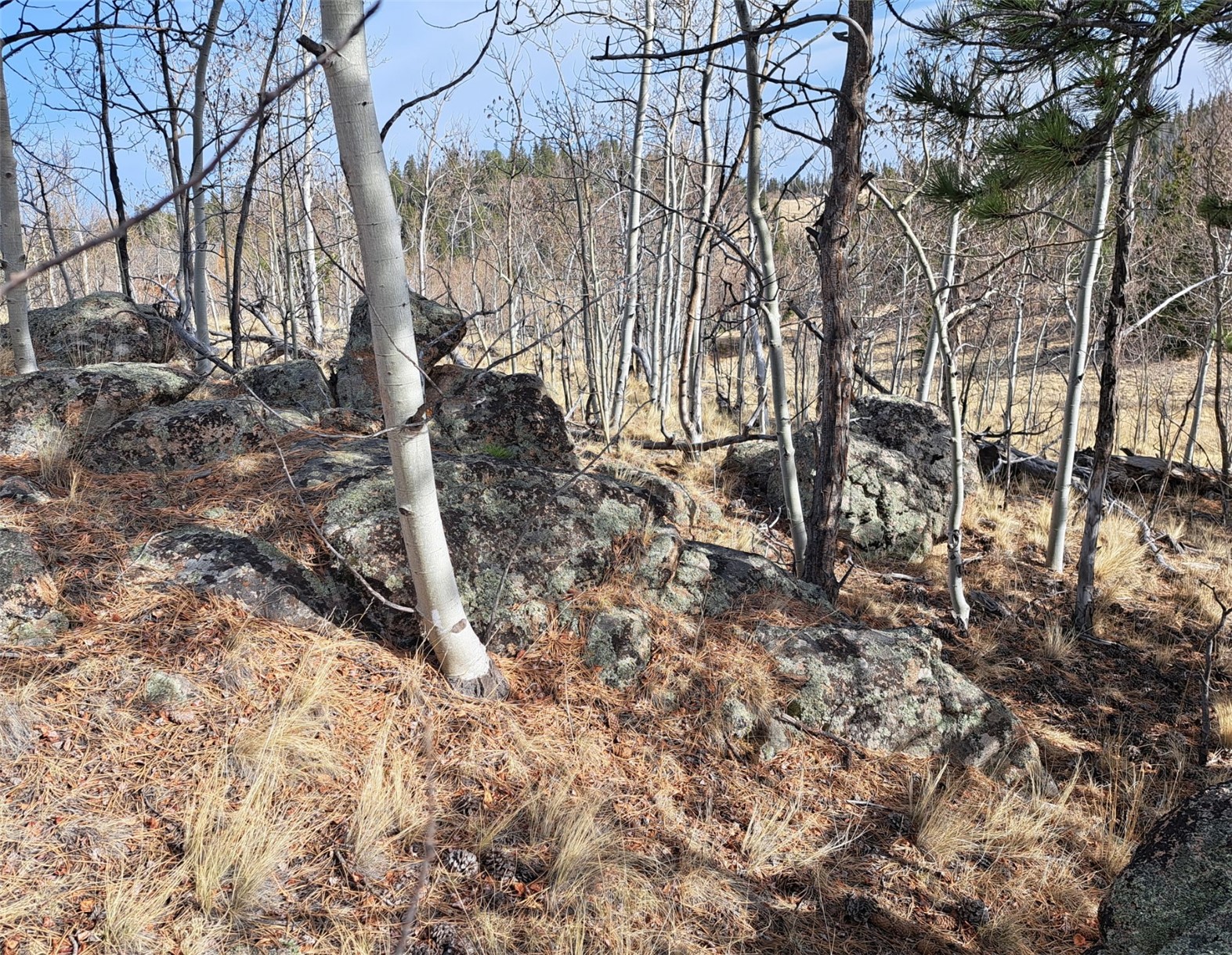 93 Wyandot Way Property Photo 30