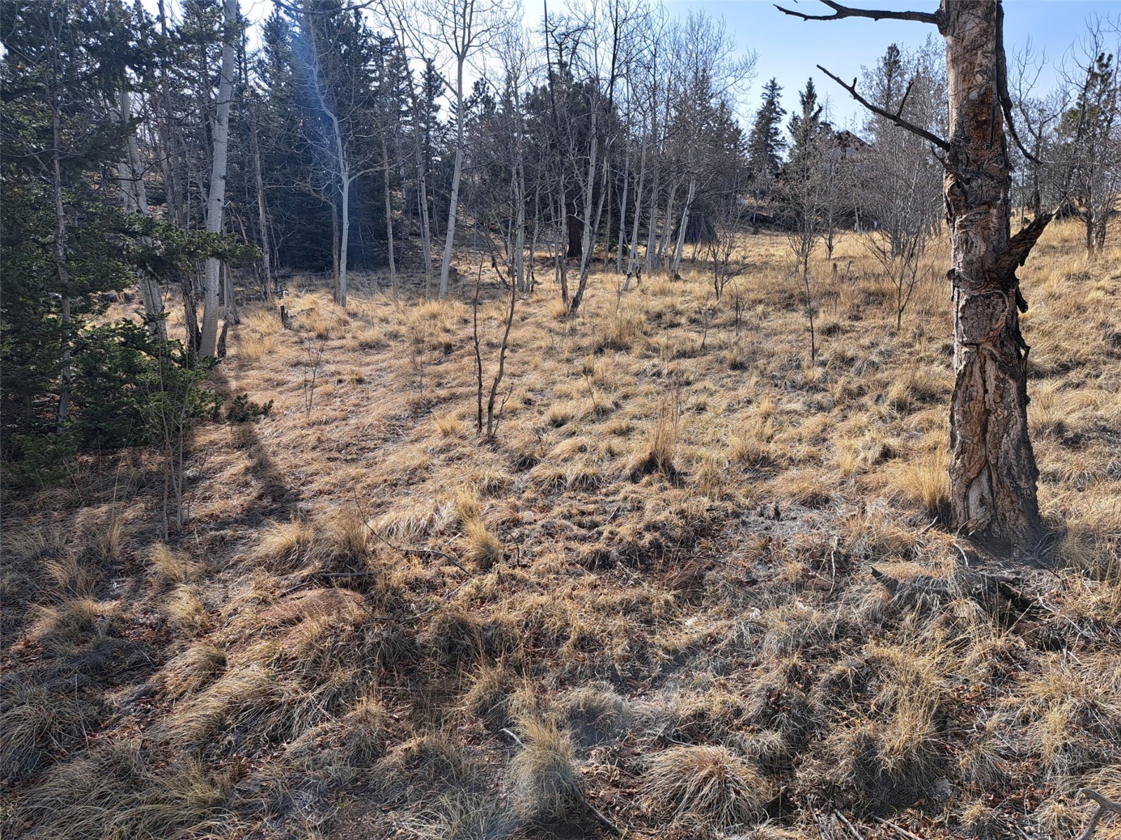 93 Wyandot Way Property Photo 35