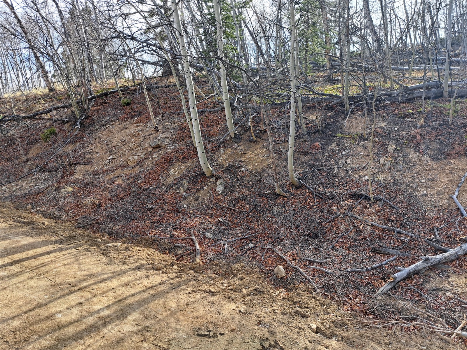 93 Wyandot Way Property Photo 39