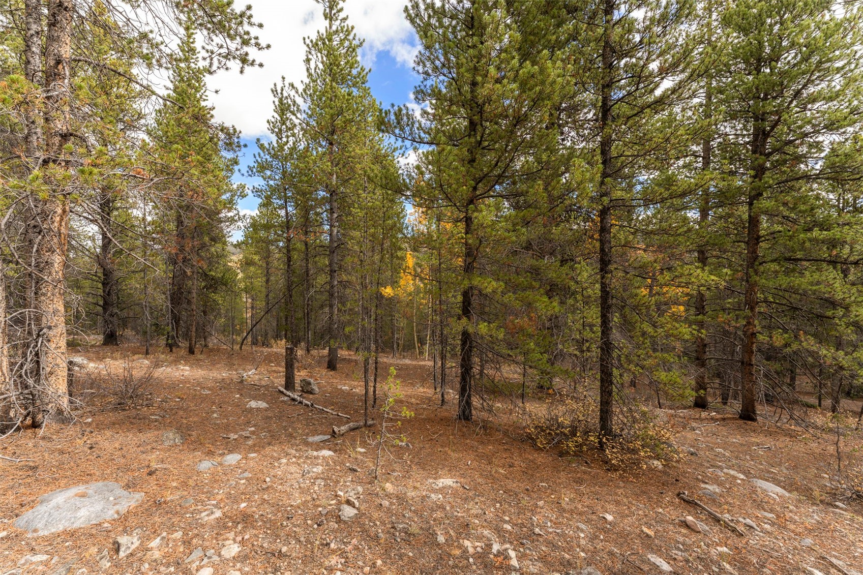 Tbd 10th Property Photo 1