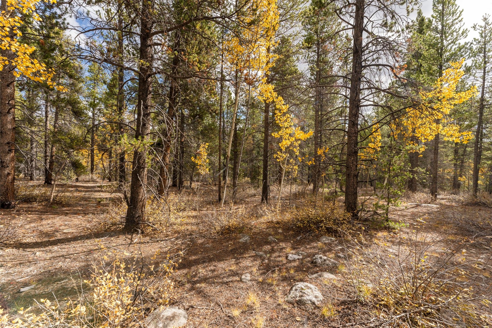 Tbd 10th Property Photo 2