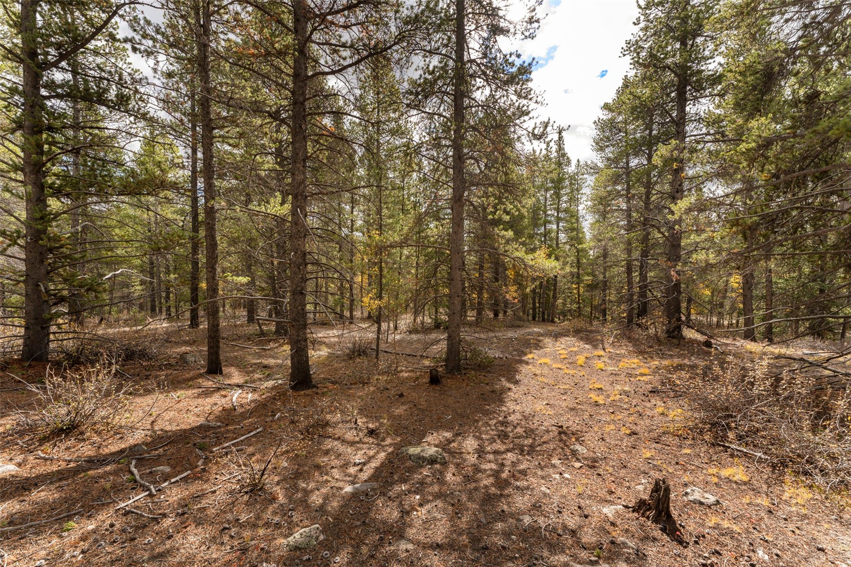 Tbd 10th Property Photo 4