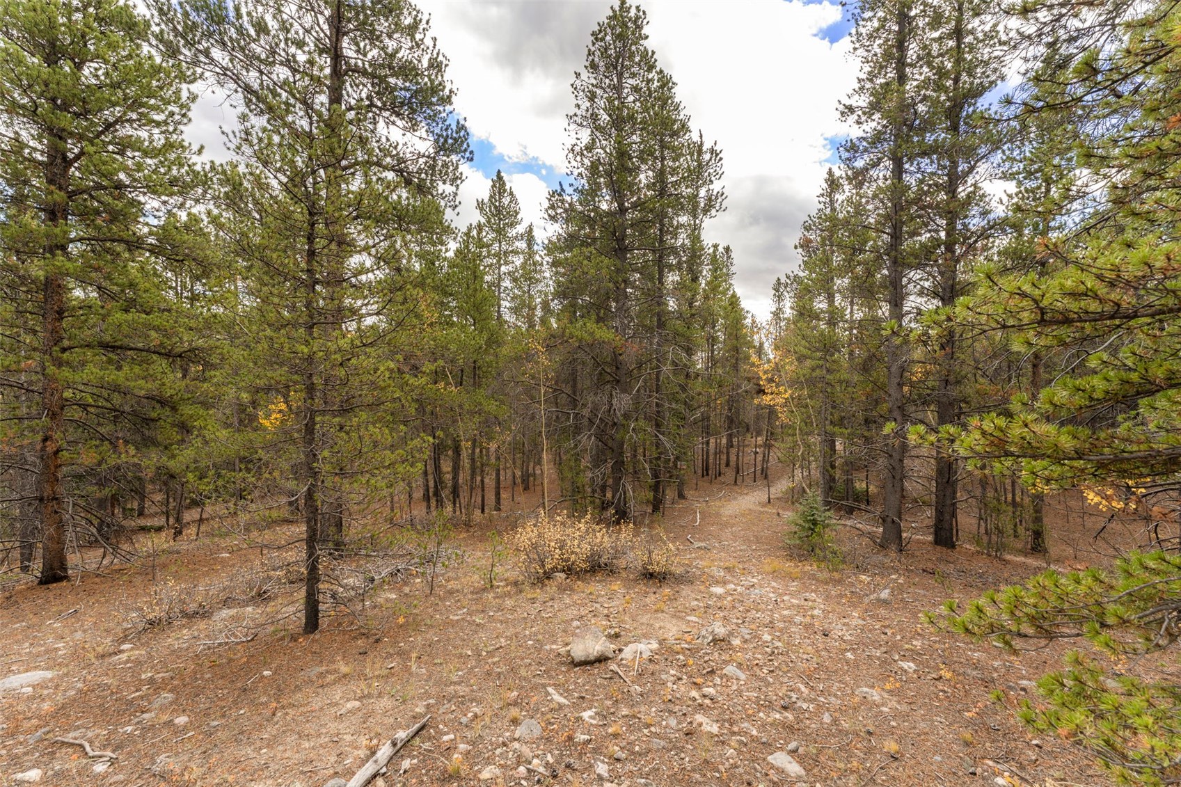 Tbd 10th Property Photo 5
