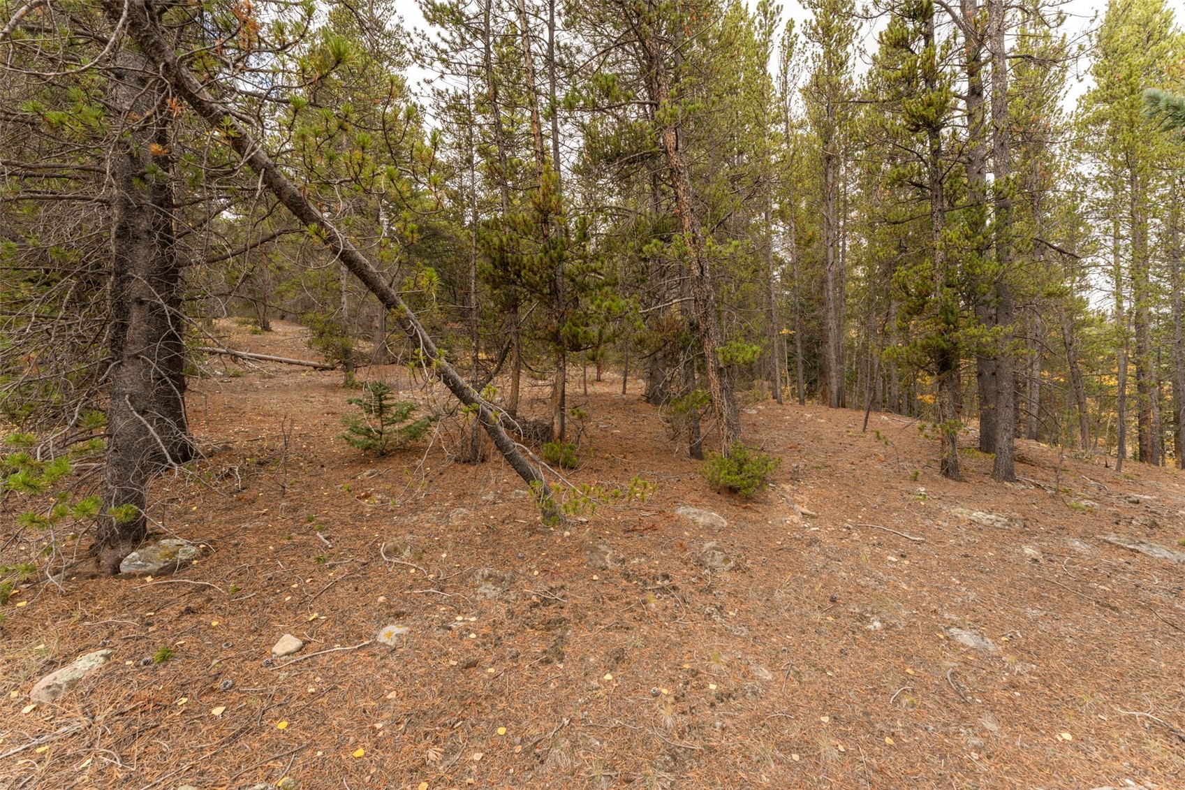 Tbd 10th Property Photo 6