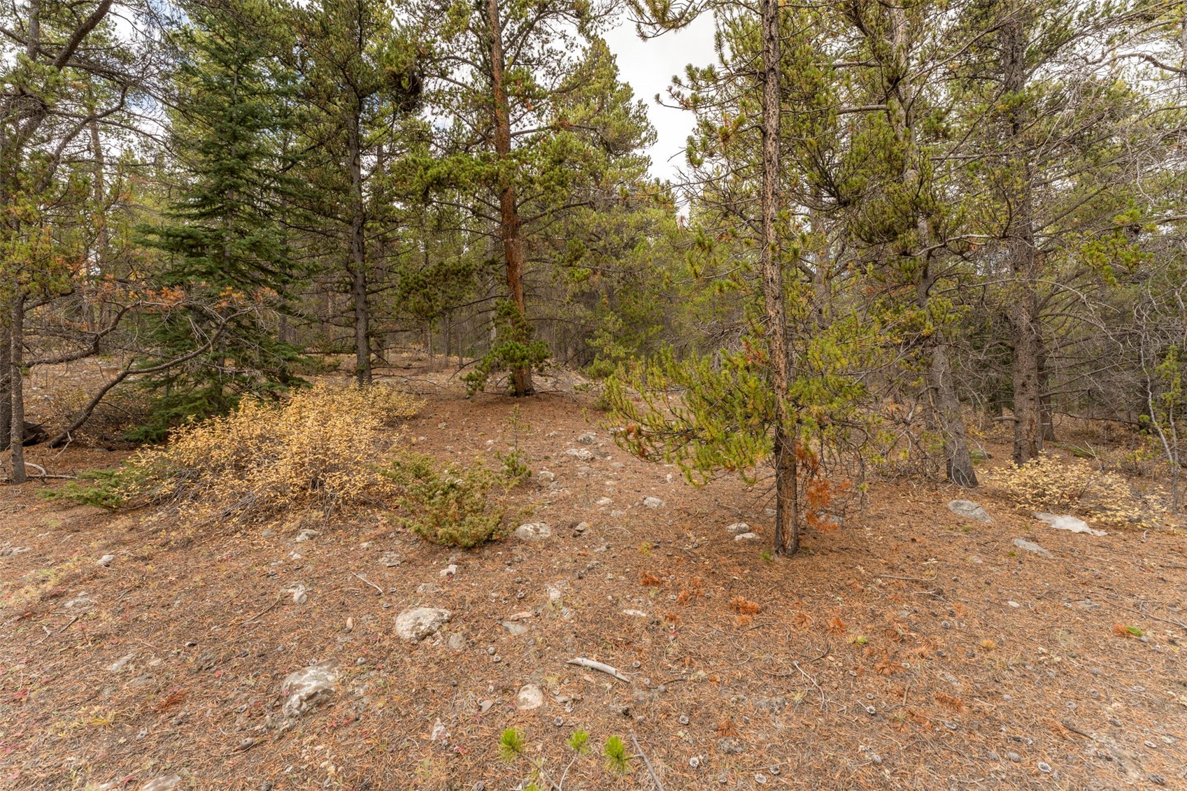 Tbd 10th Property Photo 7