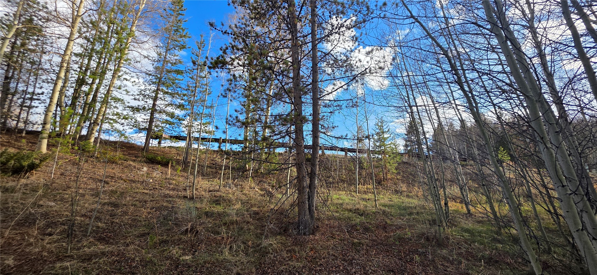 2180 Currant Way Property Photo 6